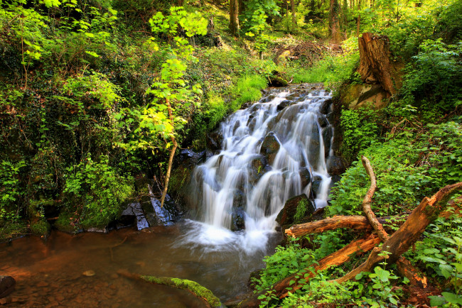 Обои картинки фото природа, водопады, бад-бертрих, германия, водопад, растения