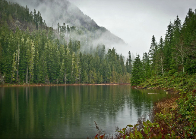 Обои картинки фото природа, реки, озера, озеро, туман, лес, деревья