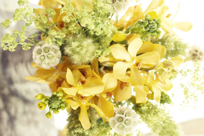 Обои картинки фото цветы, букеты, композиции, орхидеи, желтый, настроение