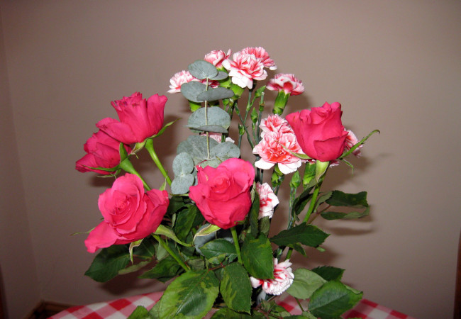 Обои картинки фото цветы, разные, вместе, букет, розы, гвоздики
