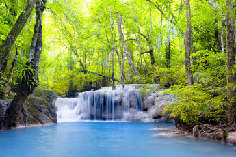Картинка природа водопады весна лес водопад