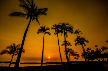 Картинка природа восходы закаты пляж пальмы горизонт солнце вечер океан