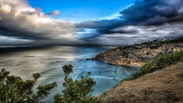 Картинка природа побережье трава море калифорния сша