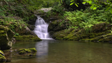 Картинка природа водопады лес ручей