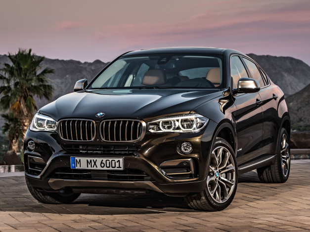 Обои картинки фото автомобили, bmw, x6, xdrive50i, f16, 2014г, темный