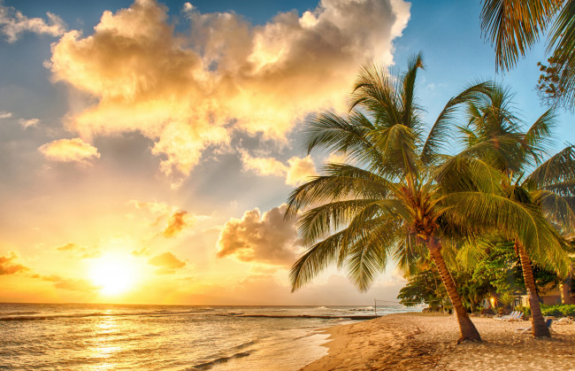 Обои картинки фото природа, тропики, облака, песок, закат, пальмы, океан