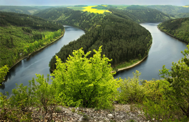 Обои картинки фото германия тюринген, природа, реки, озера, германия, тюринген, река, лес, трава, кусты