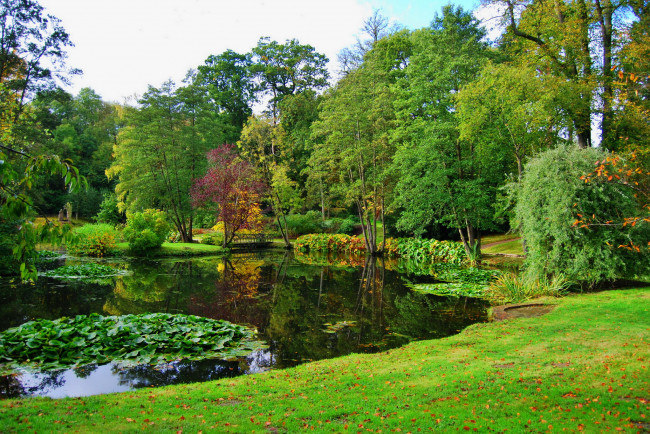 Обои картинки фото cholmondeley england, природа, парк, англия, пруд, деревья, трава