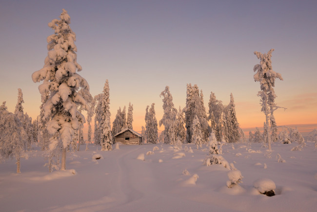 Обои картинки фото природа, зима, деревья, ели, домик, снег