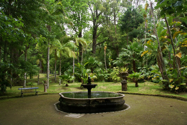 Обои картинки фото parque terra nostra furnas, природа, парк, португалия, фонтан, деревья