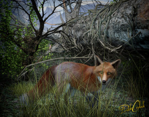 Картинка 3д+графика животные+ animals лиса лес взгляд