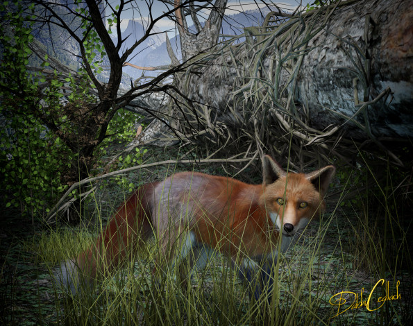 Обои картинки фото 3д графика, животные , animals, лиса, лес, взгляд