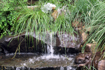 Картинка природа парк водопад трава вода камни