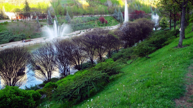 Обои картинки фото природа, парк, фонтаны, весна, кусты, трава