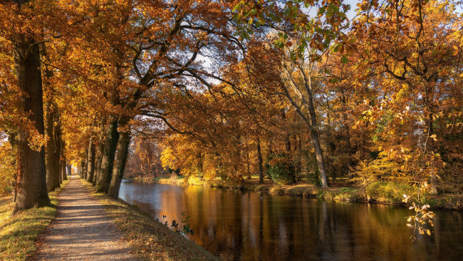 Обои картинки фото природа, парк, река, аллея, деревья, осень