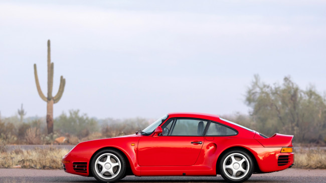 Обои картинки фото porsche 959, автомобили, porsche, красный, горы, деревья, кактусы