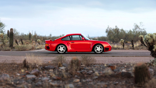 Обои картинки фото porsche 959, автомобили, porsche, красный, горы, деревья, кактусы