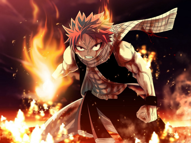 Обои картинки фото аниме, fairy, tail, natsu