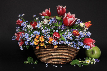 Картинка цветы букеты композиции корзинка яблоко тюльпаны незабудки