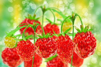 Картинка природа Ягоды макро земляника ягоды