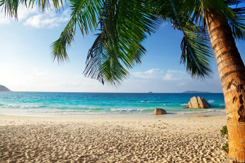 Картинка природа тропики tropical paradise beach palms sea ocean summer vacation пляж море пальмы песок берег