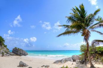 Картинка природа тропики пальмы скалы волны песок пляж море
