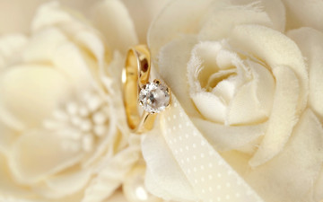 обоя разное, украшения,  аксессуары,  веера, кольца, soft, lace, ring, flowers, background, wedding, цветы, свадьба