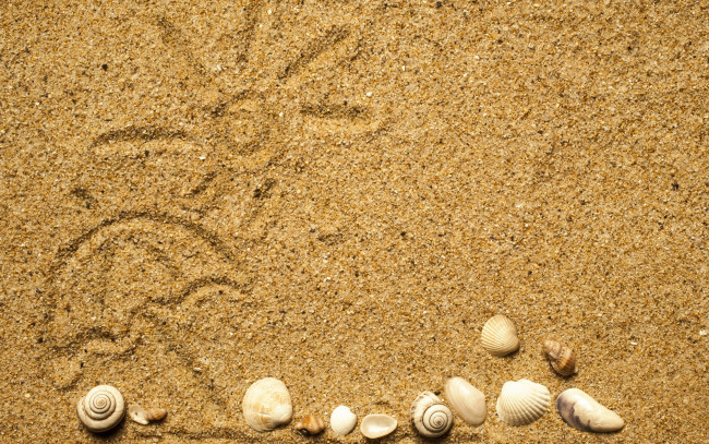 Обои картинки фото разное, ракушки,  кораллы,  декоративные и spa-камни, texture, sand, песок, seashells, marine, beach