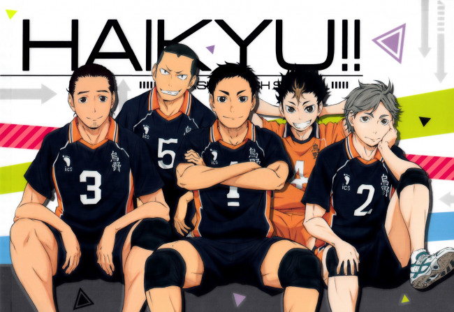 Обои картинки фото аниме, haikyuu, волейбол, команда, карасуно, парни