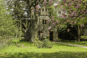 Картинка англия города -+здания +дома трава цветущее дерево