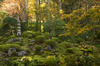 Картинка Япония разное садовые+и+парковые+скульптуры растения парк деревья