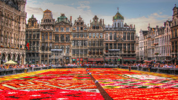 Картинка города брюссель+ бельгия цветочный ковер