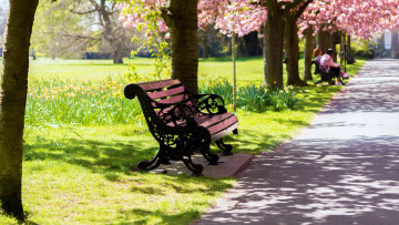 Картинка природа парк скамейка аллея деревья