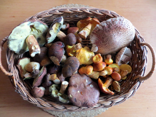 Обои картинки фото еда, грибы,  грибные блюда, ассорти, грибное, корзинка