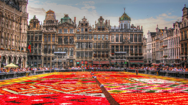 Обои картинки фото города, брюссель , бельгия, цветочный, ковер