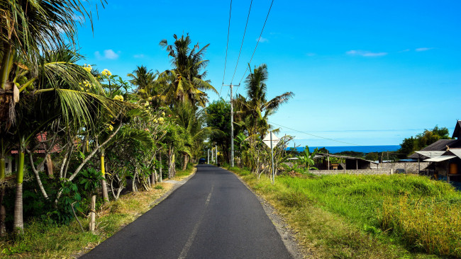 Обои картинки фото природа, дороги, пальмы, дорога, тропики