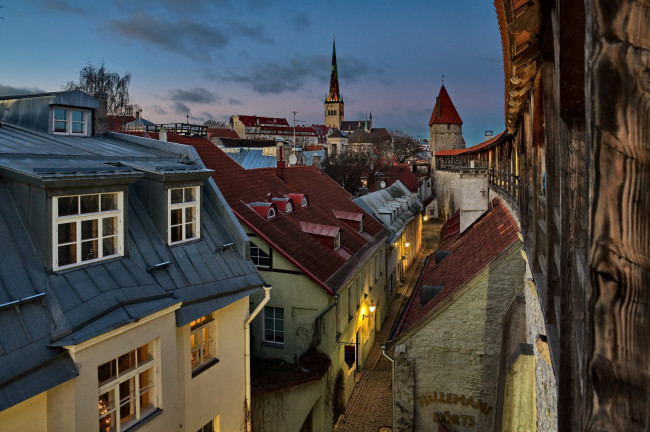 Обои картинки фото города, таллин , эстония, крыши, узкая, улочка