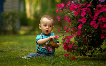 обоя разное, дети, мальчик, трава, цветы