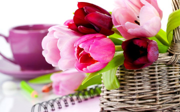 обоя цветы, тюльпаны, корзина, чашка