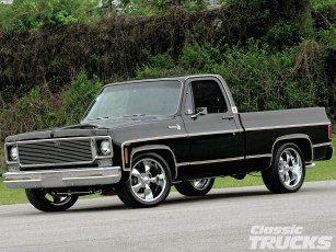 Картинка 1977 chevrolet silverado автомобили custom pick up