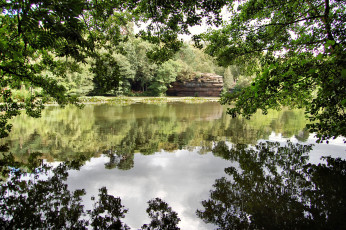 Картинка природа реки озера отражение деревья ветки вода