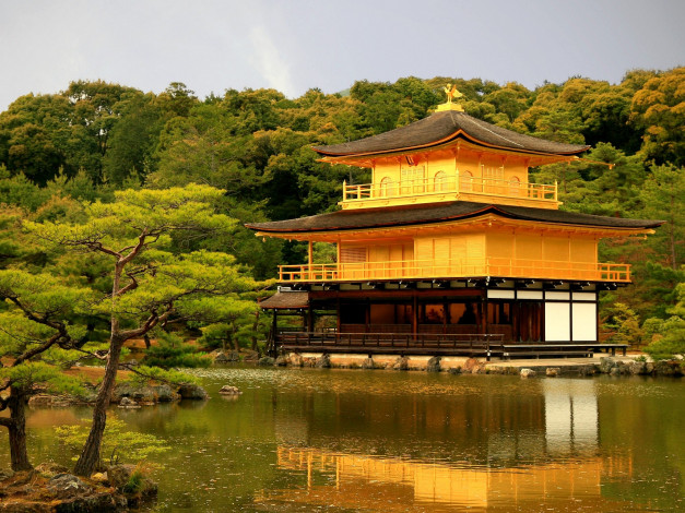 Обои картинки фото золотой, храм, Япония, города, буддистские, другие, храмы