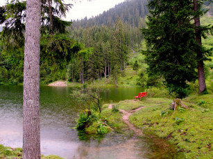 Картинка австрия тироль природа реки озера берег лес река