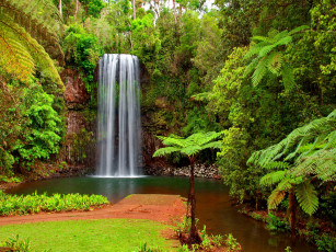 обоя hidden, paradise, природа, водопады, тропики, пальмы, водопад