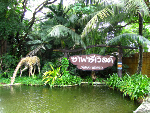 обоя safari, world, bangkok, природа, парк, пальмы, сафари, пруд