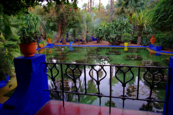 Картинка morocco marrakech jardin majorelle природа парк сад император