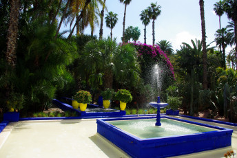обоя morocco, marrakech, jardin, majorelle, природа, парк, фонтан, пальмы, кактусы