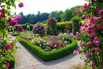 Картинка природа парк германия rosengarten merzig