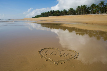 Картинка природа побережье пальмы песок облака волны