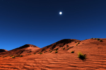 Картинка the desert природа пустыни песок пустыня дюны трава
